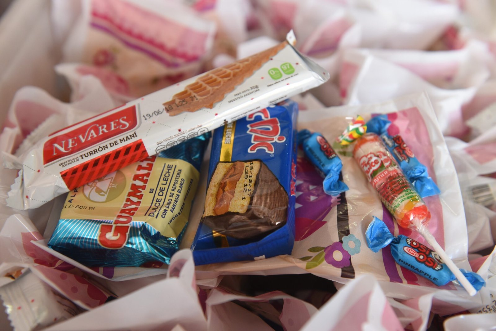 dsc_2351-ts1519666313