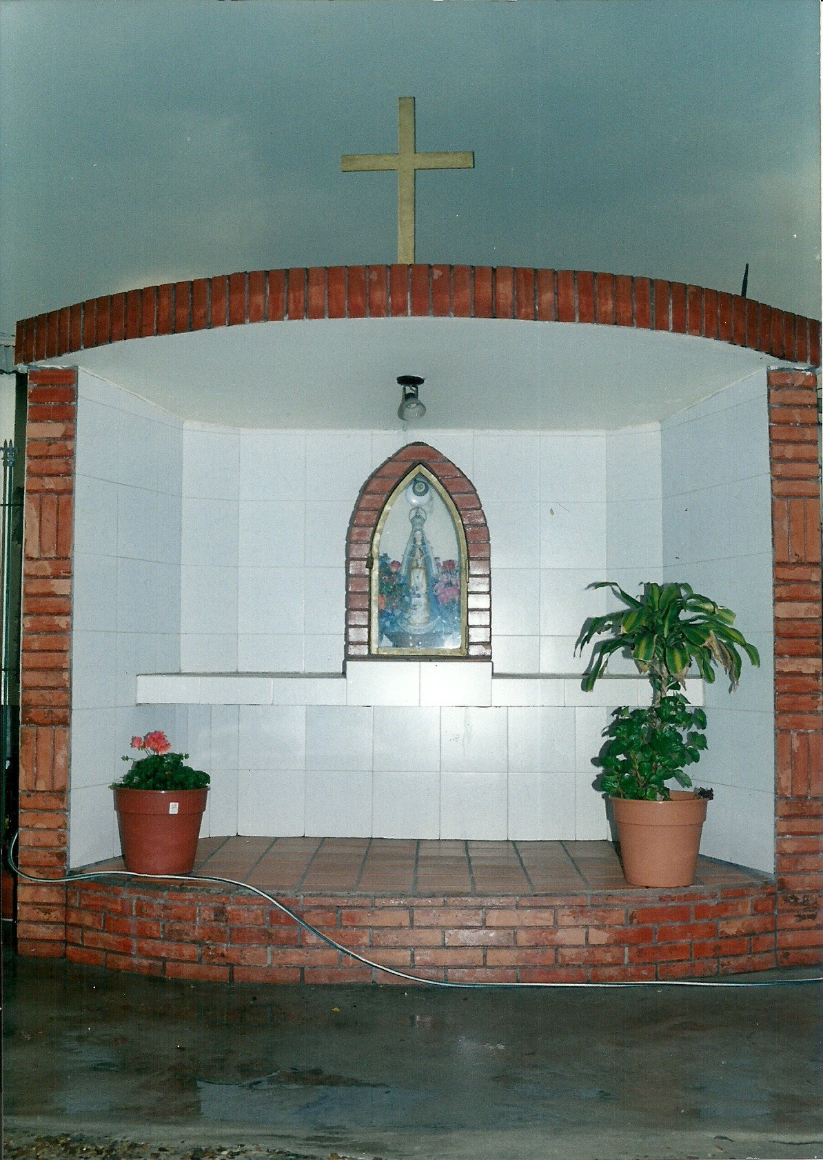 templete 24-ts1561408494